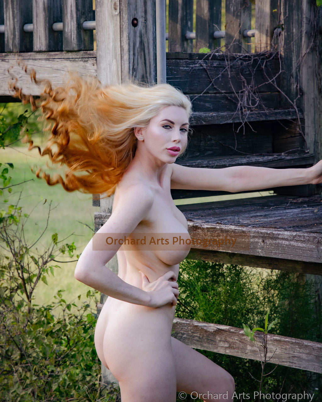 Air: Art Nudes Bonus Images