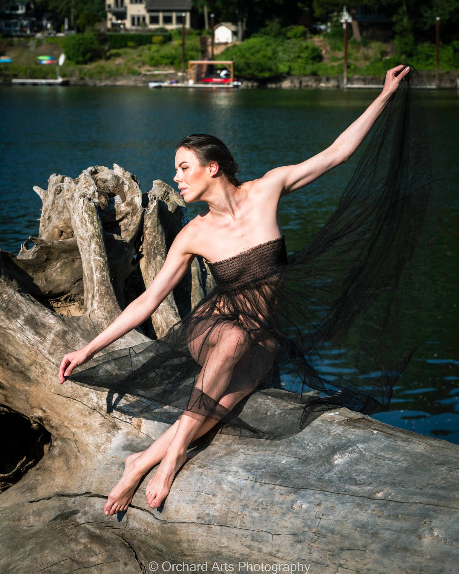 Femina Nuda: Denisa - Art Nude Print Book