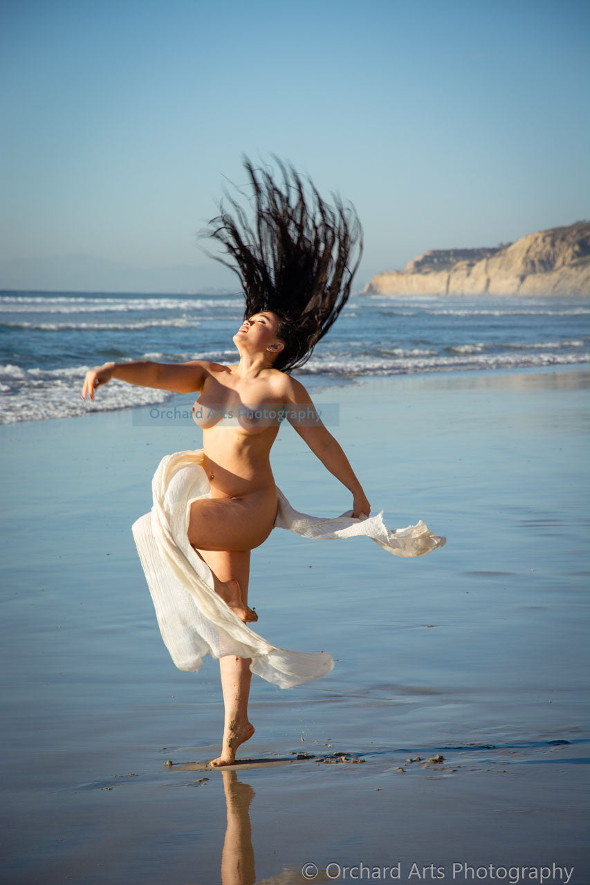 Air: Art Nudes Digital Book