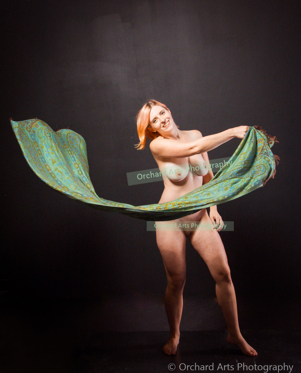 Air: Art Nudes Digital Book
