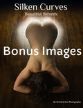 Silken Curves Bonus Images Ebook