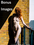 True Fire Bonus Image eBook