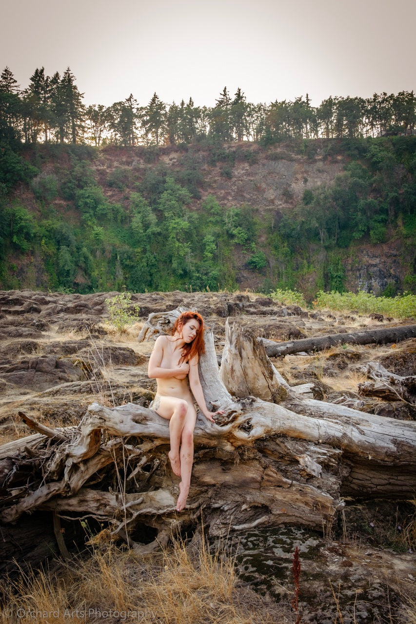 Earth: Outdoor Art Nudes Digital Book